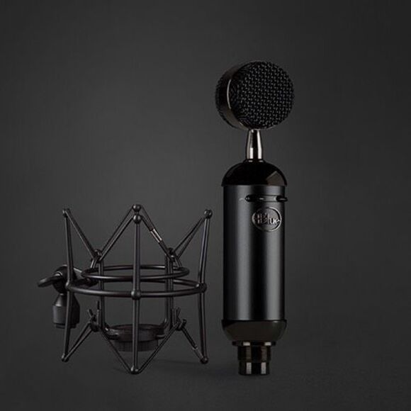 Blue Spark Blackout SL XLR Condenser Mic for Pro Recording and Streaming - Picture 1 of 4
